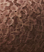 Thumbnail 21